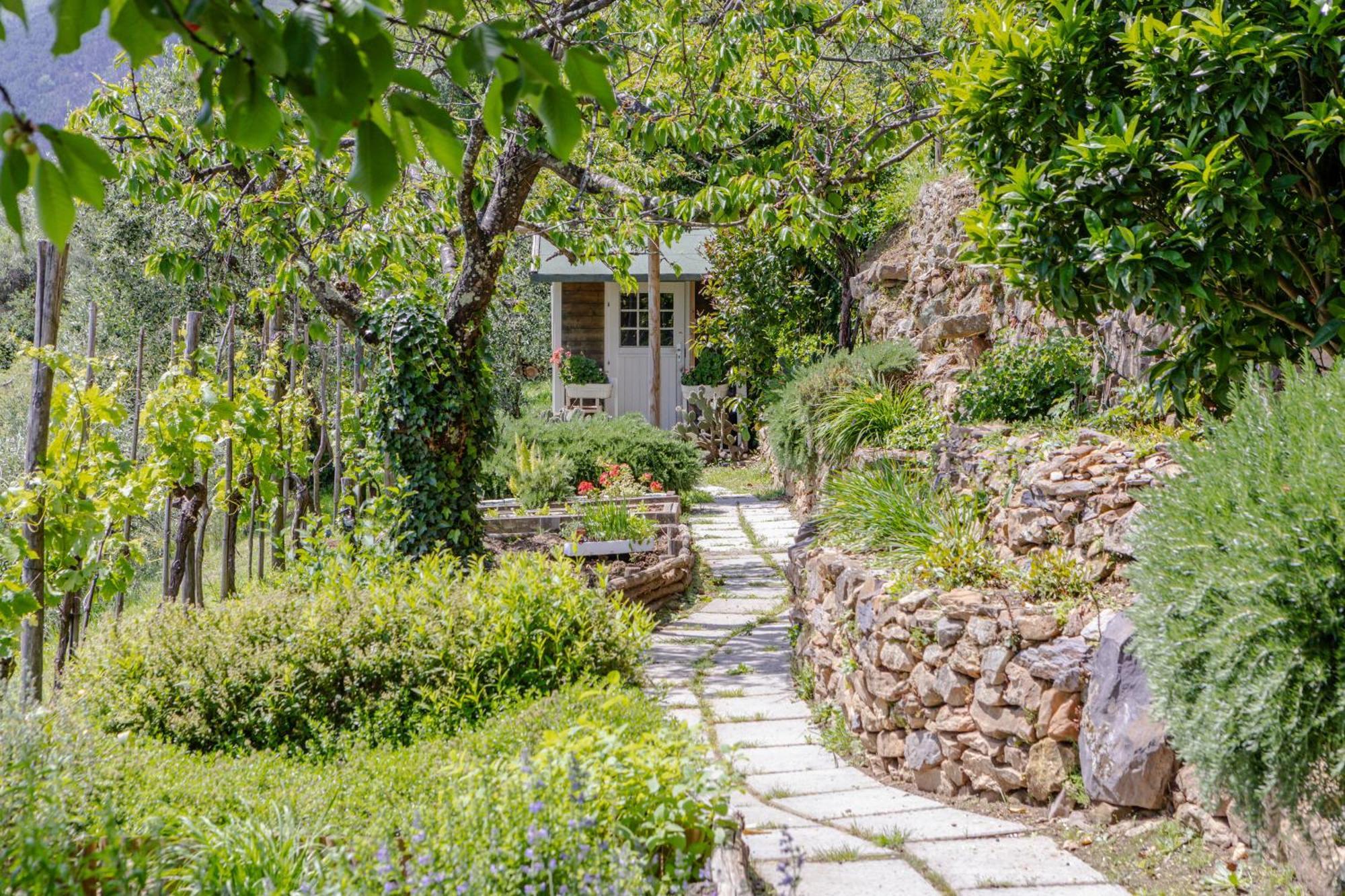 Villa Sii Felice Buti Exterior foto